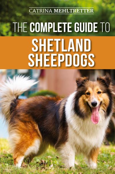 The Complete Guide to Shetland Sheepdogs