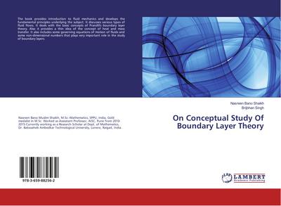 On Conceptual Study Of Boundary Layer Theory
