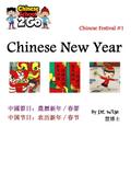 Chinese Festival 1: Chinese New Year