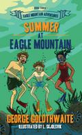 Summer at Eagle Mountain (Eagle Mountain Adventures, #3)