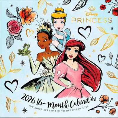 DISNEY PRINCESS - Broschürenkalender im Format 30 x 30
