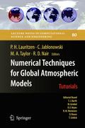 Numerical Techniques for Global Atmospheric Models