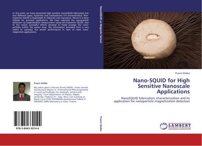Nano-SQUID for High Sensitive Nanoscale Applications