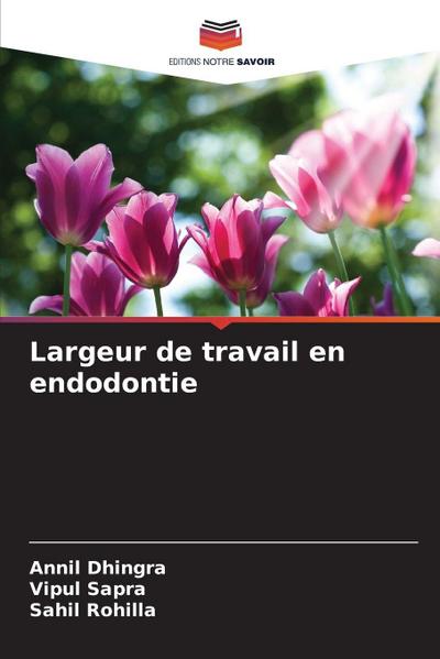 Largeur de travail en endodontie