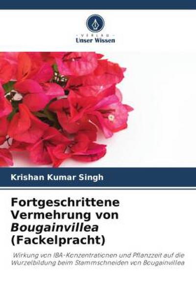 Fortgeschrittene Vermehrung von Bougainvillea (Fackelpracht)