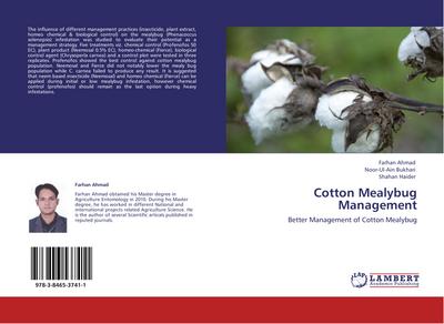 Cotton Mealybug Management