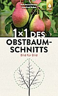 1 x 1 des Obstbaumschnitts
