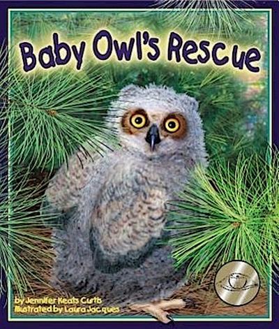 Baby Owl’s Rescue