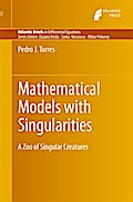 Mathematical Models with Singularities