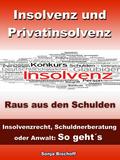 Insolvenz und Privatinsolvenz - Insolvenzrecht, Schuldnerberatung oder Anwalt: So geht´s