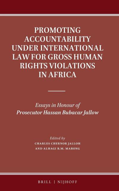 Promoting Accountability Under International Law for Gross Human Rights Violations in Africa