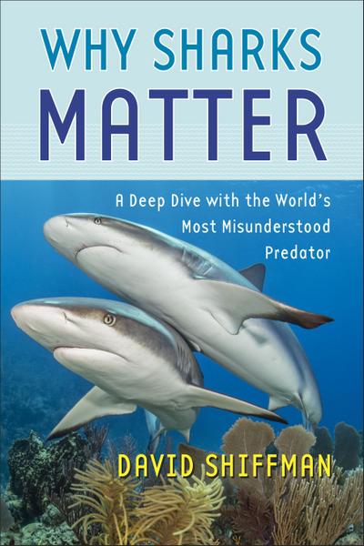 Why Sharks Matter