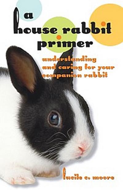 A House Rabbit Primer