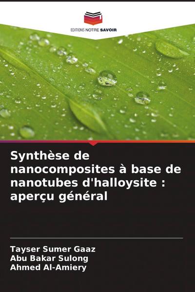 Synthèse de nanocomposites à base de nanotubes d’halloysite : aperçu général