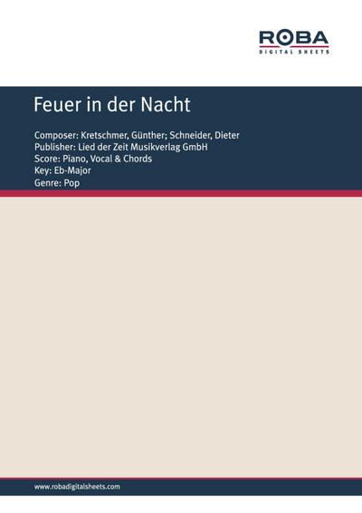 Feuer in der Nacht