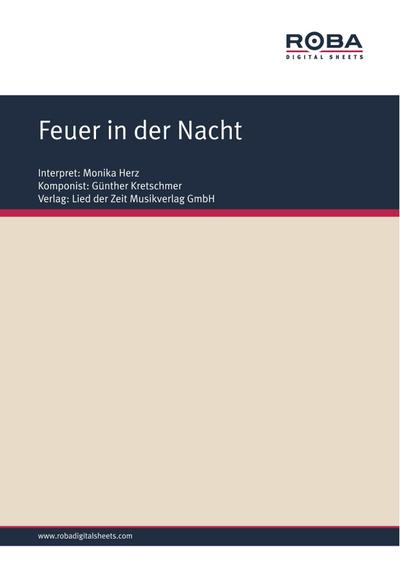 Feuer in der Nacht