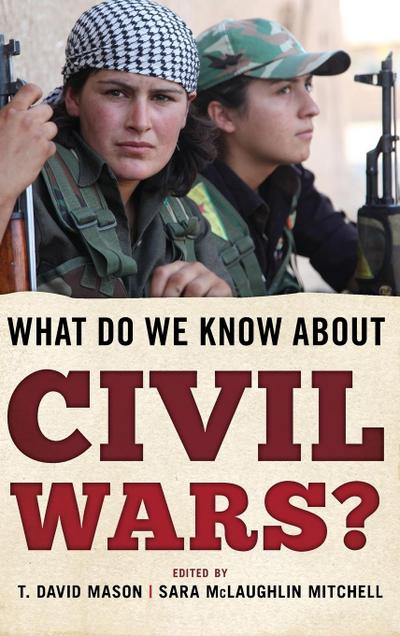 What Do We Know about Civil Wars?