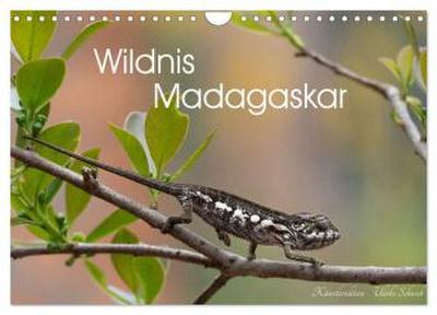 Wildnis Madagaskar (Wandkalender 2027 DIN A4 quer), CALVENDO Monatskalender
