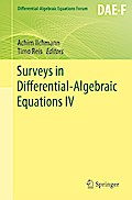 Surveys in Differential-Algebraic Equations IV