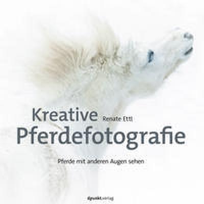Kreative Pferdefotografie