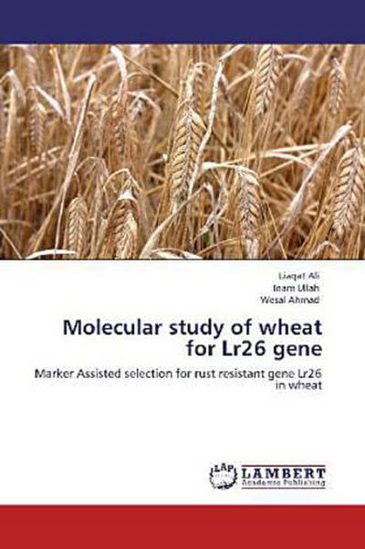 Molecular study of wheat for Lr26 gene