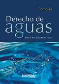 Derecho de Aguas Tomo VII