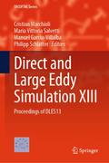 Direct and Large Eddy Simulation XIII