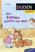 Duden Leseprofi - Ein Fohlen kommt zur Welt