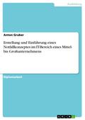 Erstellung und Einführung eines Notfallkonzeptes im IT-Bereich eines Mittel- bis Großunternehmens