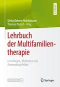 Lehrbuch der Multifamilientherapie