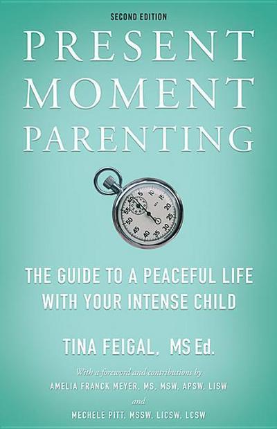 Present Moment Parenting: The Guide to a Peaceful Life with Your Intense Child