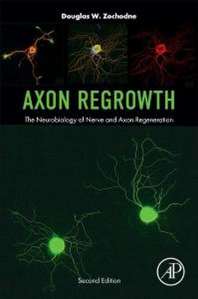 Axon Regrowth