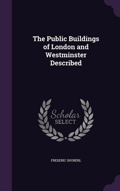 The Public Buildings of London and Westminster Described