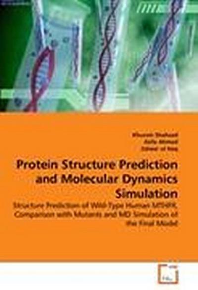 Protein Structure Prediction and Molecular Dynamics Simulation