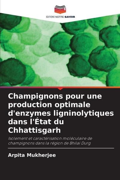 Champignons pour une production optimale d’enzymes ligninolytiques dans l’État du Chhattisgarh