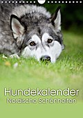 Hundekalender - Nordische Schönheiten (Wandkalende