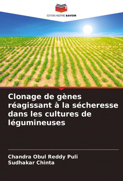 Clonage de gènes réagissant à la sécheresse dans les cultures de légumineuses