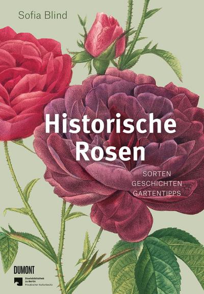 Historische Rosen