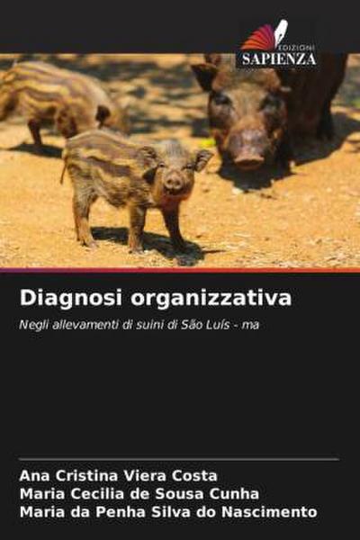 Diagnosi organizzativa