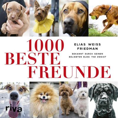 Friedman, E: 1000 beste Freunde