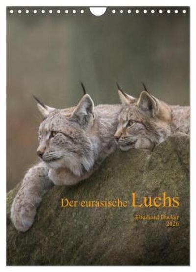 Der eurasische Luchs (Wandkalender 2026 DIN A4 hoch), CALVENDO Monatskalender