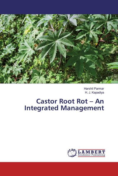 Castor Root Rot - An Integrated Management