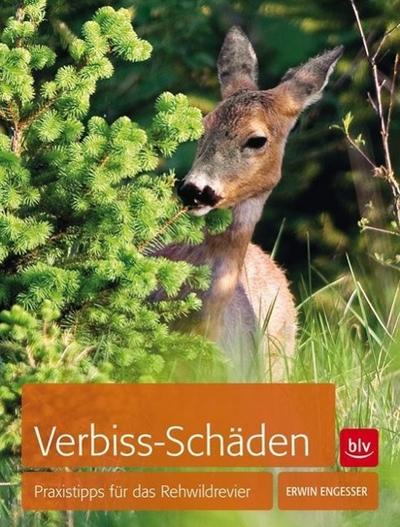Verbiss-Schäden