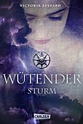 Wütender Sturm (Die Farben des Blutes 4)