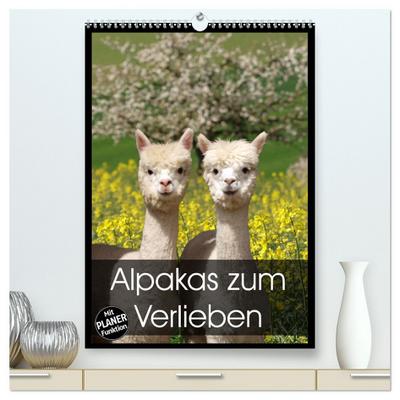 Alpakas zum Verlieben (hochwertiger Premium Wandkalender 2024 DIN A2 hoch), Kunstdruck in Hochglanz