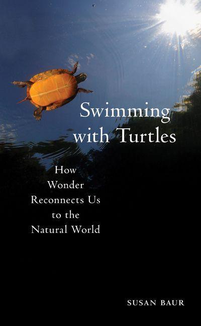 Swimming with Turtles