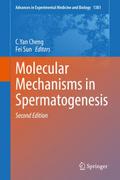 Molecular Mechanisms in Spermatogenesis