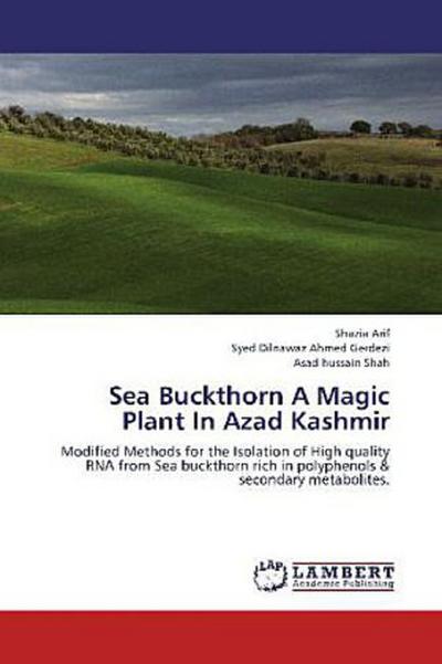 Sea Buckthorn A Magic Plant In Azad Kashmir