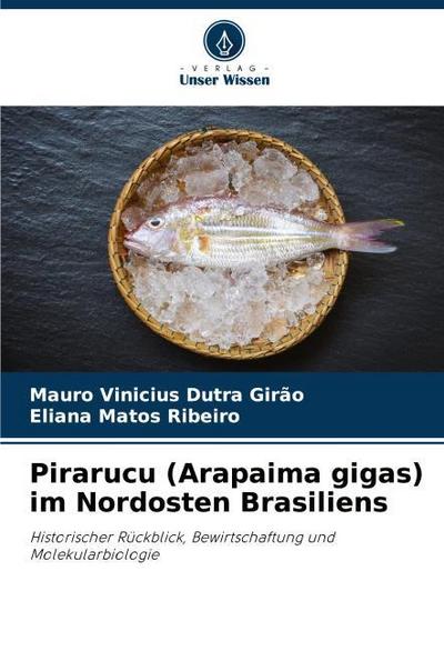 Pirarucu (Arapaima gigas) im Nordosten Brasiliens