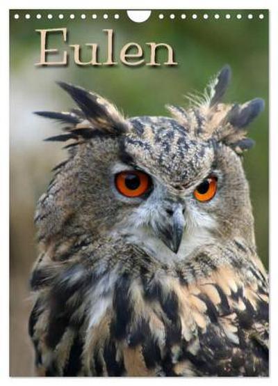 Eulen (Wandkalender 2026 DIN A4 hoch), CALVENDO Monatskalender